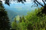 2014-07-05_Laengental-N-Hochweg (641). JPG
